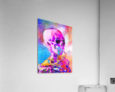 Skull Acrylic Print