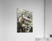 Camouflage Gorilla Acrylic Print