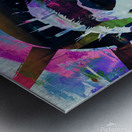 Liberty Two Metal print