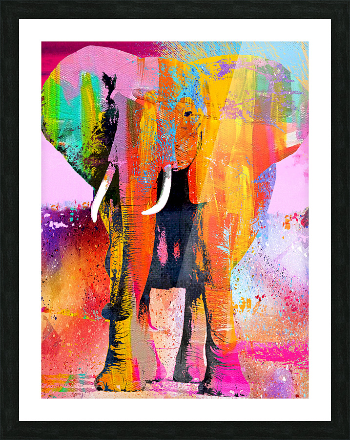 Elephant Picture Frame print