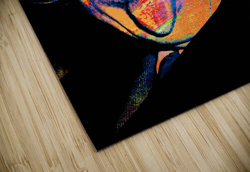 Einstein  The Pop Art Factory puzzle