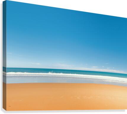 Life in beach Canvas Print