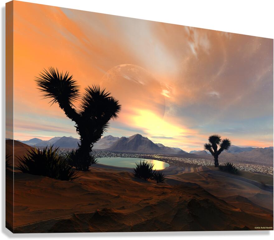 Desert  Sunrise  Canvas Print
