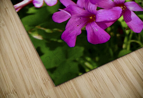 Pink Shamrocks  Orchid Mandala puzzle