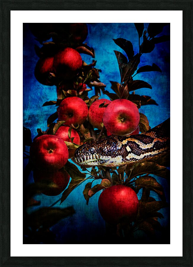Temptress Picture Frame print