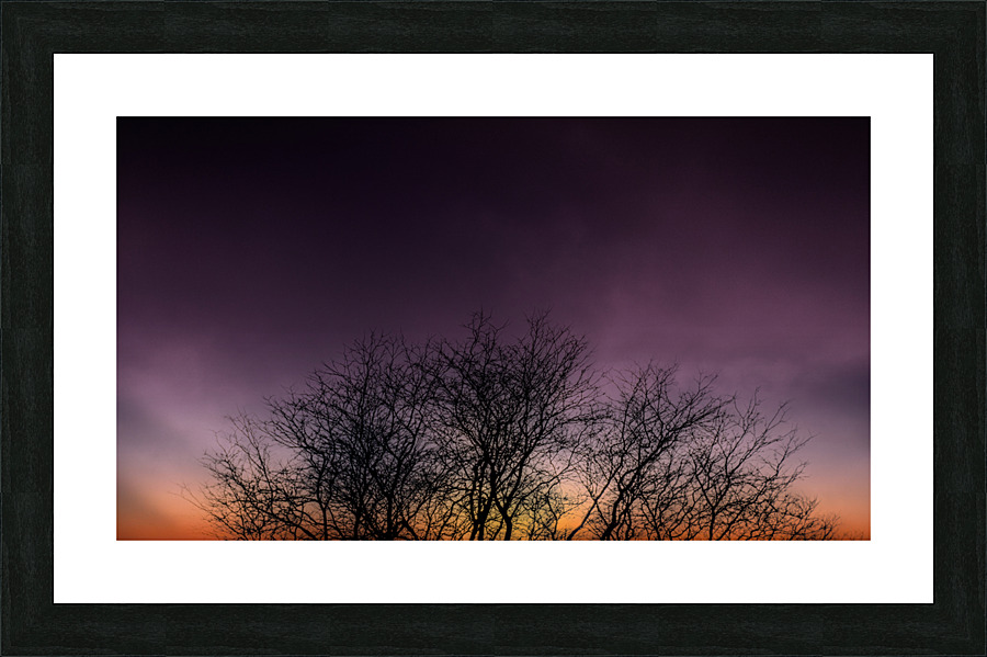 Sunset Silhouette Picture Frame print
