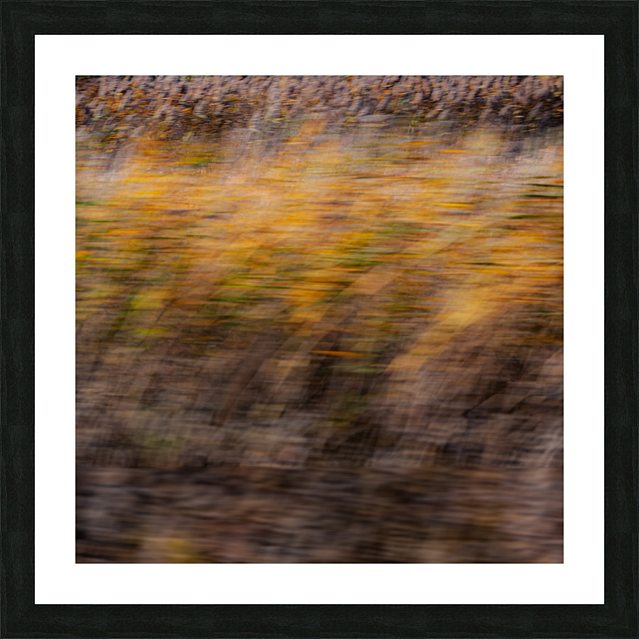 Breezy Fall day Picture Frame print