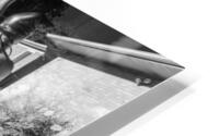 Jumping into the pool HD Metal print