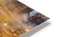 Breezy Fall day HD Metal print