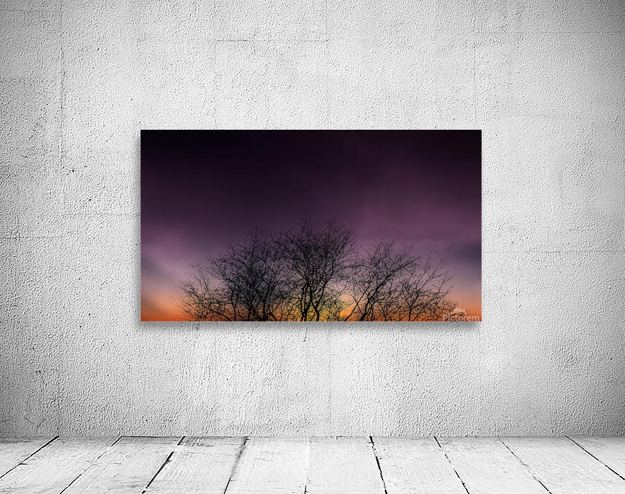 Sunset Silhouette Wall Preview