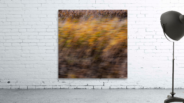 Breezy Fall day Wall Preview