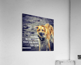 Meet Zeke Acrylic Print