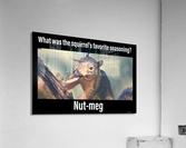 Squirrel Jokes Acrylic Print