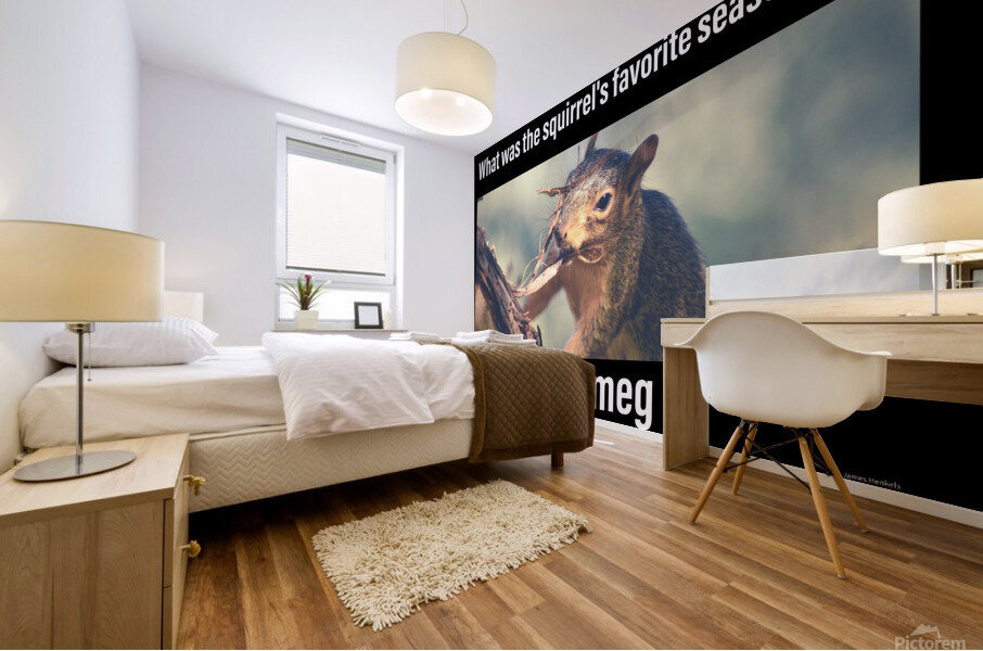Squirrel Jokes Mural print