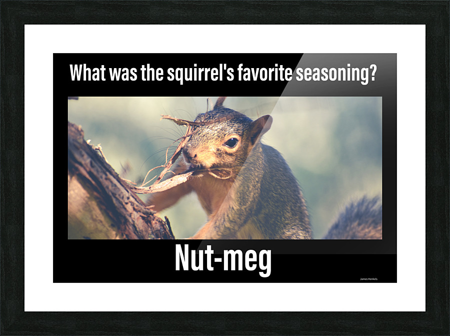 Squirrel Jokes Picture Frame print
