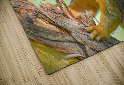Squirreling Around  Jimanaze Henkels puzzle