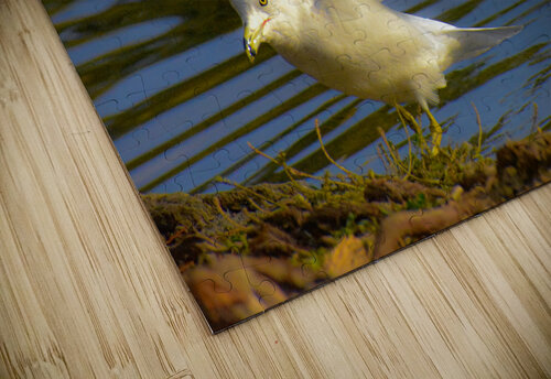 Spread Your Wings Jimanaze Henkels puzzle
