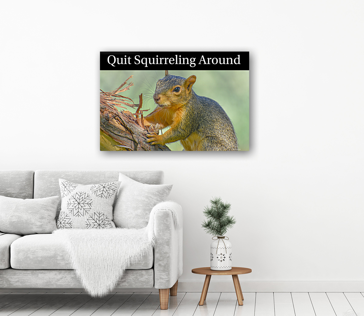 Squirreling Around  Reproduction