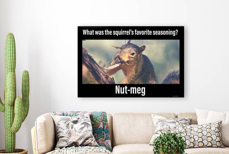 Squirrel Jokes by Jimanaze Henkels