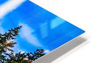 Score Win Repeat  HD Metal print