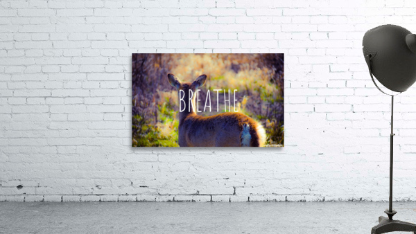 Breathe Wall Preview