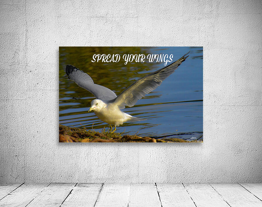 Spread Your Wings Wall Preview