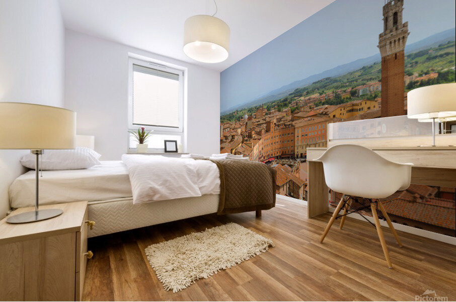 View over Siena Mural print