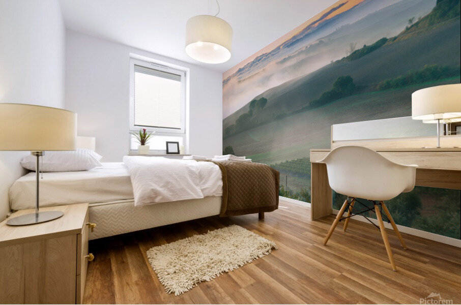 Sunrise at Belvedere Mural print