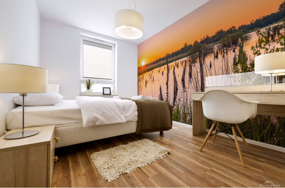 Sunset at De Alde Feanen Mural print