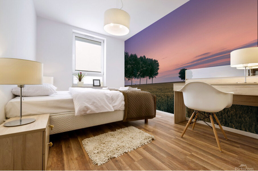 Sunset in Groningen Mural print