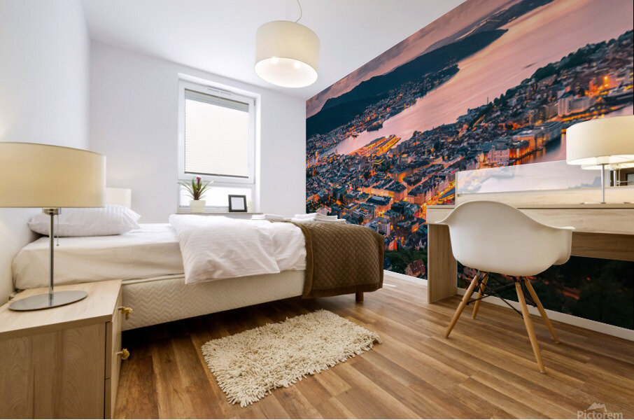 View over Bergen Mural print