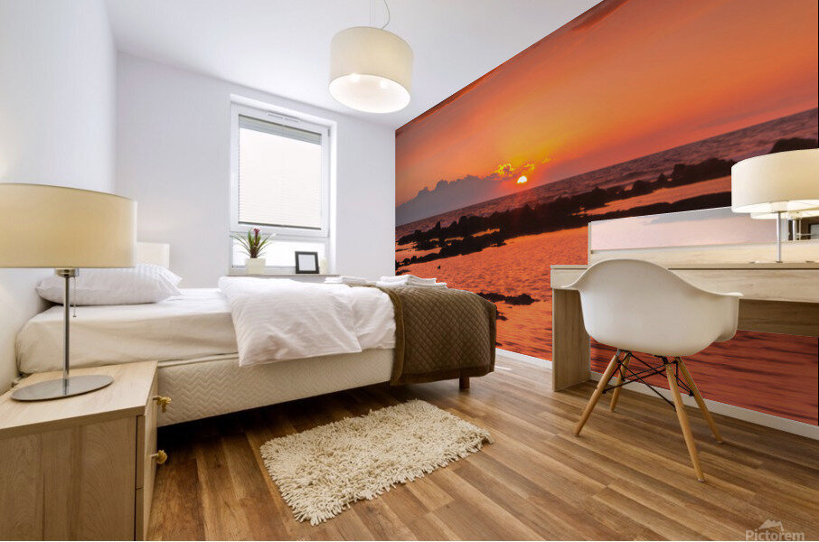 Sunset on Hawaii Mural print