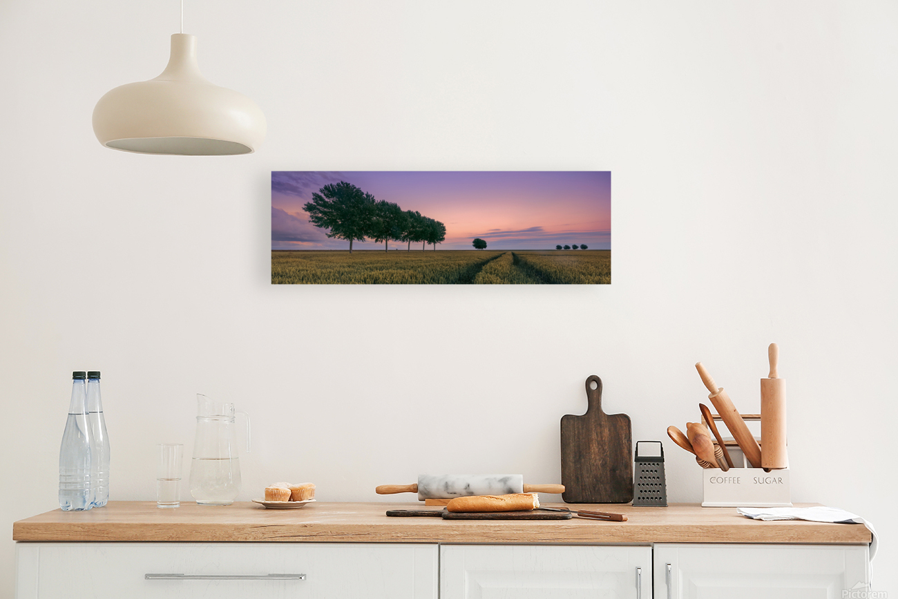 Sunset in Groningen Reproduction
