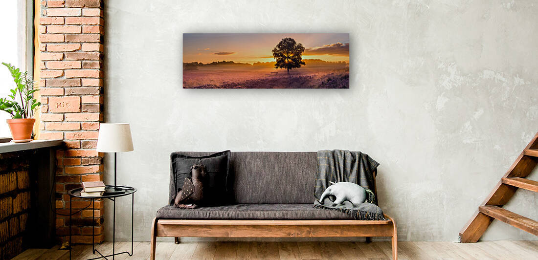 Heather in bloom at Sunrise by Henk Meijer Photography