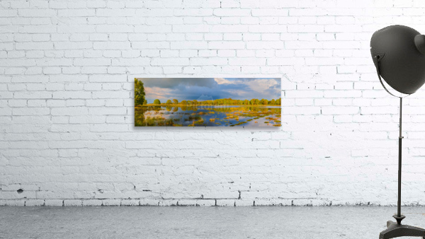 Sunset at Dwingelderveld Wall Preview