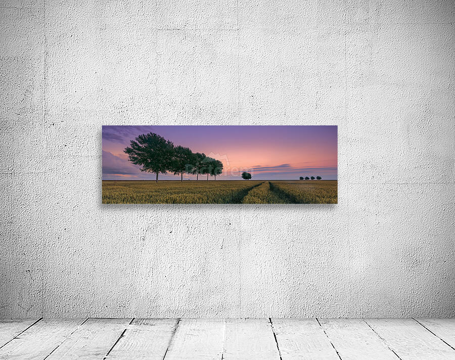 Sunset in Groningen Wall Preview