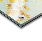 A Fine Balance Acrylic print