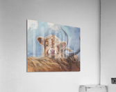 Solace Acrylic Print