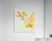 A Fine Balance Acrylic Print