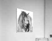 Heart Whispers Acrylic Print