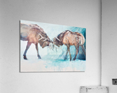Practice makes perfect Acrylic Print