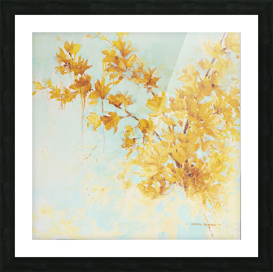 A Fine Balance Picture Frame print