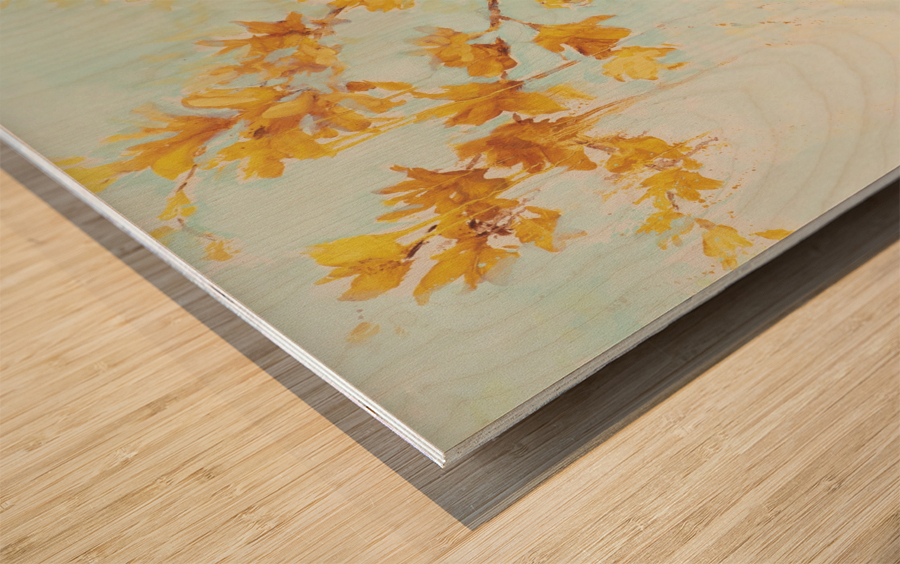 A Fine Balance Wood print