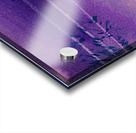 Windblown Acrylic print