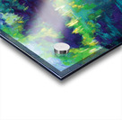 Blue Shed Acrylic print