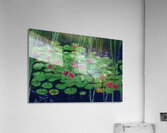 Lily Pads Acrylic Print