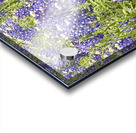 Blubonnet Fields Forever Acrylic print