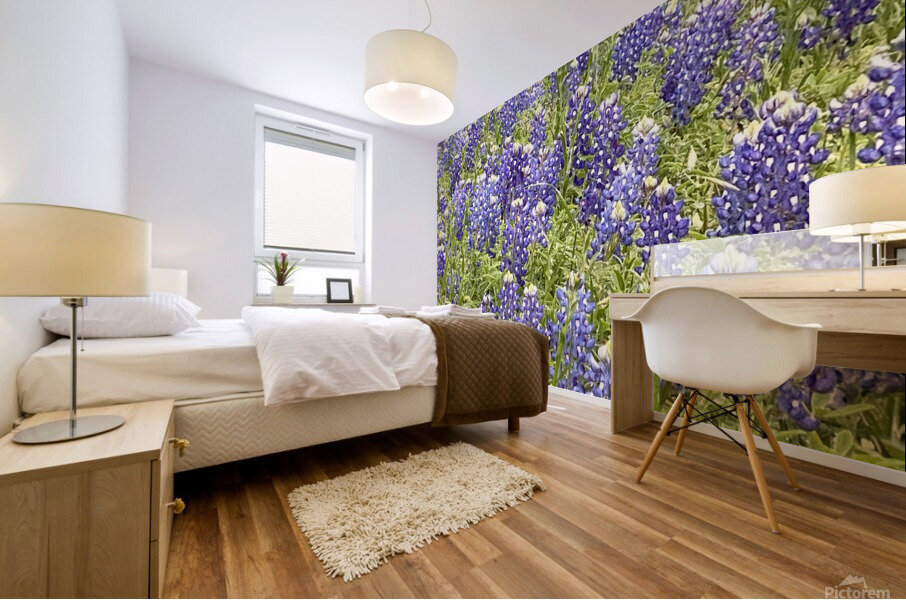 Blubonnet Fields Forever Mural print