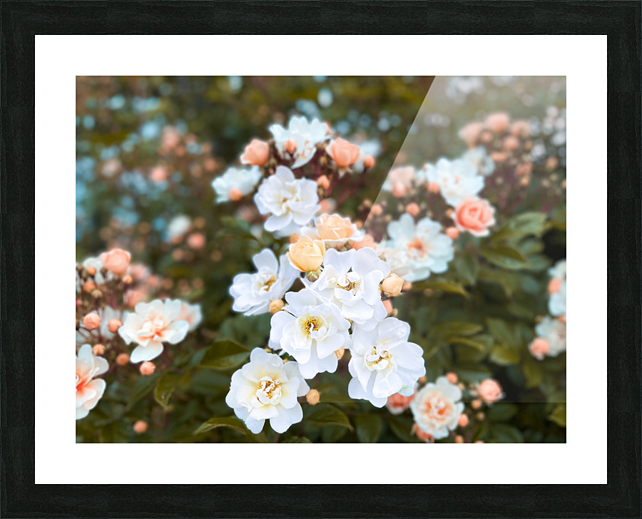 Troll Rose Picture Frame print