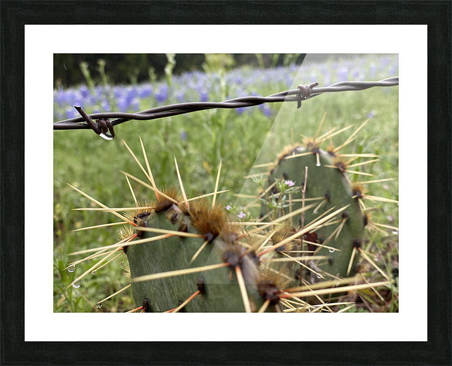 Pins & Needles Picture Frame print